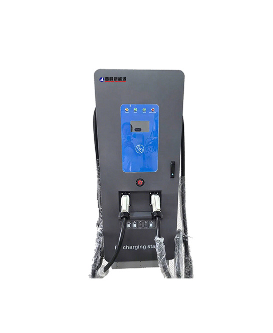 登峰DFZYD-S120Kw（欧标） 双枪5米枪线(4G模块)